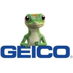 Geico Insurance